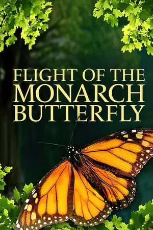 Flight of the Monarch Butterfly