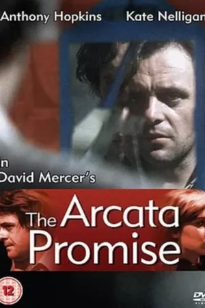 The Arcata Promise