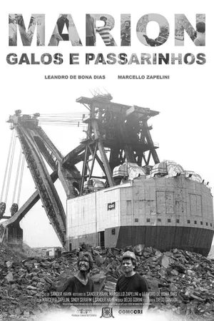 Marion, Galos e Passarinhos