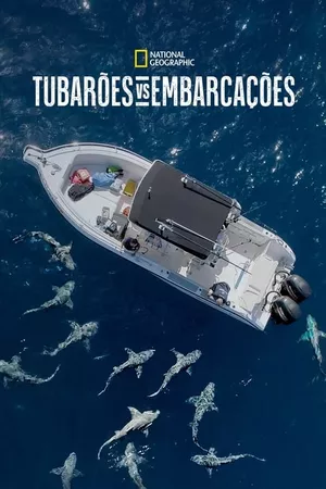 Tubarões vs. Embarcações