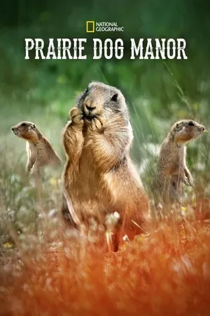 Prairie Dog Manor