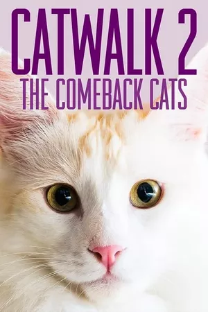 Catwalk 2: The Comeback Cats