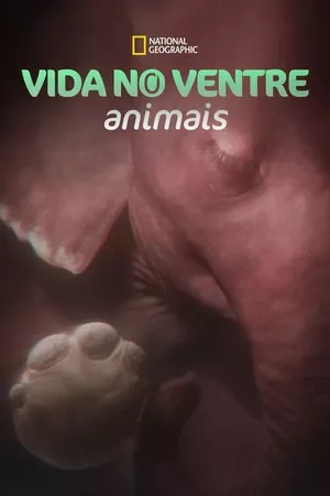 Vida no Ventre: Animais