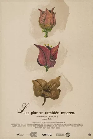 Las plantas también mueren