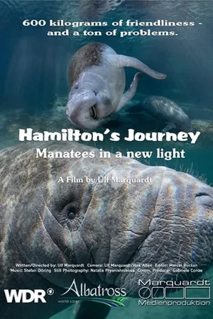 Hamilton's Journey - Manatees in a New Light