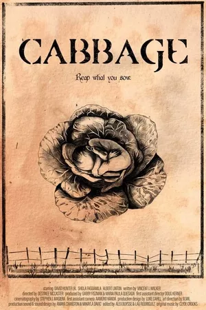 Cabbage