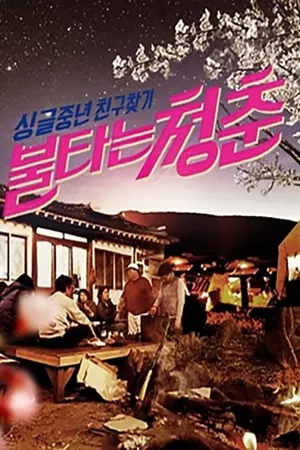 불타는 청춘