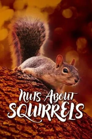 Nuts About Squirrels