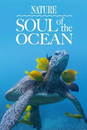 Soul of the Ocean