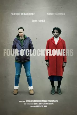 Four O'Clock Flowers