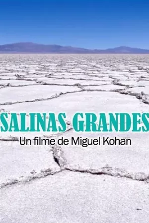 Salinas grandes