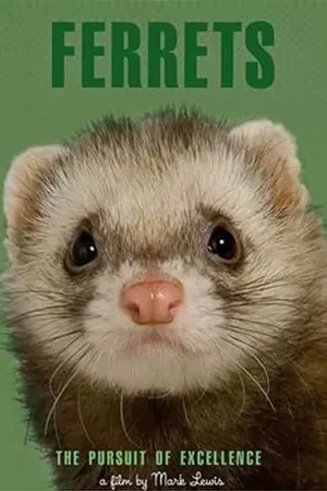 Ferrets