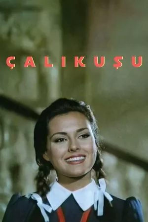 Çalıkuşu