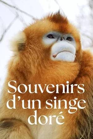 Souvenirs d'un singe doré