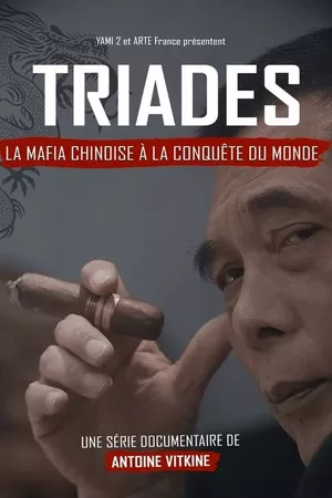 Triads: The Chinese Mafia Conquering the World