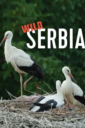 Wild Serbia