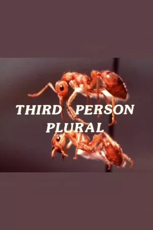 Third Person Plural