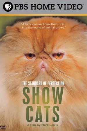 The Standard of Perfection: Show Cats