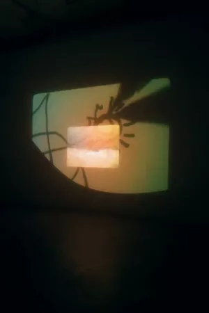 A Conversation with the Sun (Installation) A Conversation with the Sun (Installation)