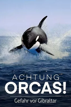 Watch Out for Orcas! Danger Off Gibraltar? Watch Out for Orcas! Danger Off Gibraltar?