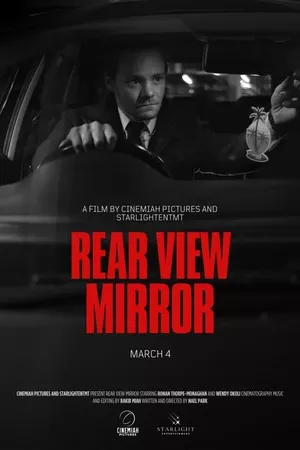 REAR VIEW MIRROR