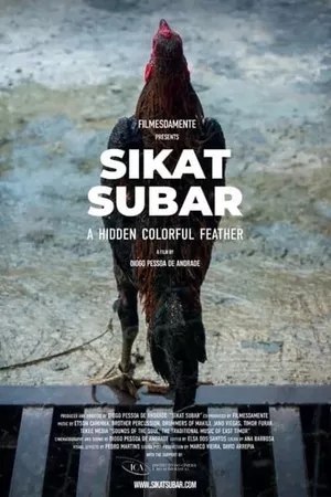 Sikat Subar - A Hidden Colorful Feather