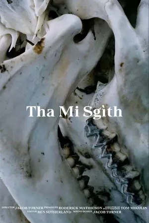 Tha Mi Sgìth