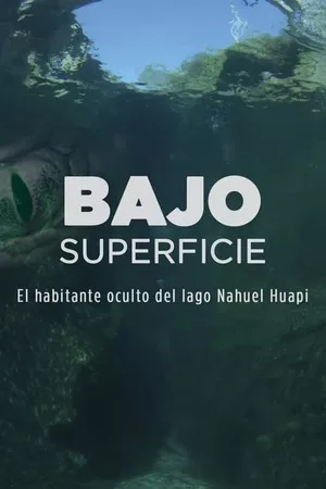 Bajo superficie