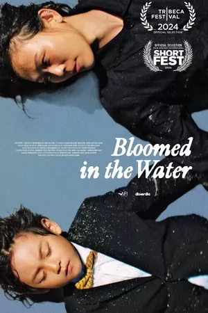 Bloomed in the Water Bloomed in the Water