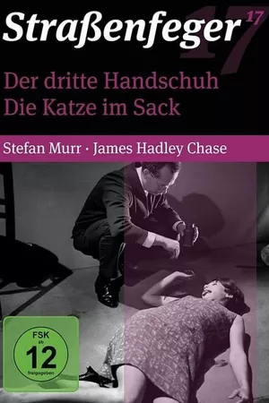 Der dritte Handschuh