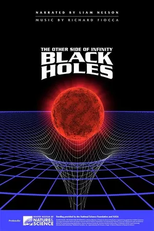 Black Holes: The Other Side of Infinity