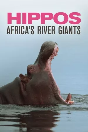 Hippos: Africa's River Giants