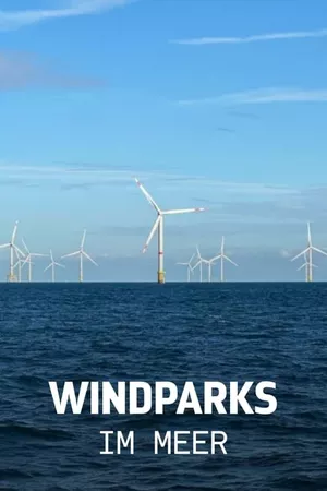 Windparks im Meer - Chance oder Risiko für die Natur?