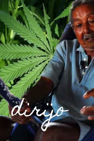 Dirijo