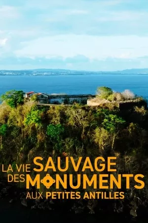 La vie sauvage des monuments aux Petites Antilles