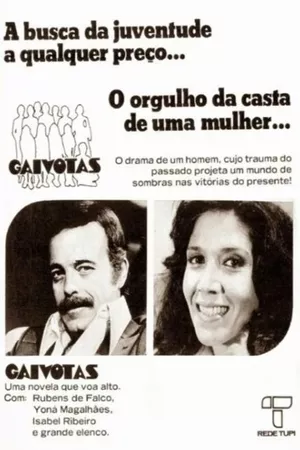 Gaivotas