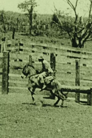 Em um Rancho de Cavalos no Rio Grande