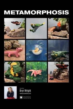 Metamorphosis Metamorphosis