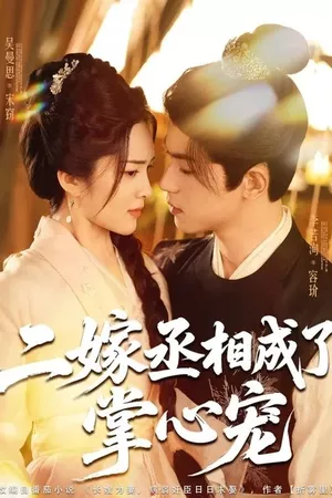 二嫁丞相成了掌心宠